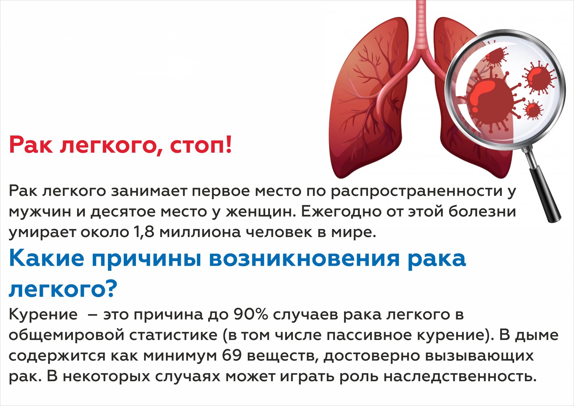 Рак легких сколько живут с лечением. Бронхи разного калибра. 2/3 От лёгких сколько это.