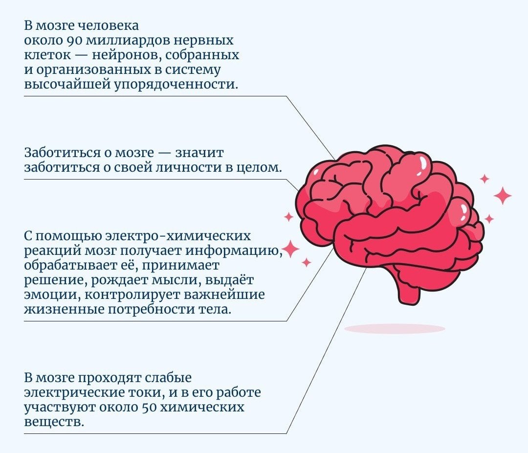 С 15 по 21 июля 2024 года проходит Неделя сохранения здоровья головного  мозга :: Новости :: Государственное автономное учреждение социального  обслуживания населения Свердловской области «Комплексный центр социального  обслуживания населения города ...